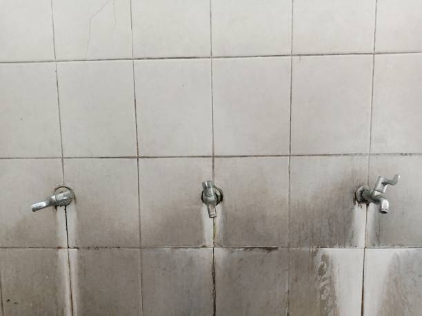 Best Flood damage cleanup  in Inverness Highlands South, FL