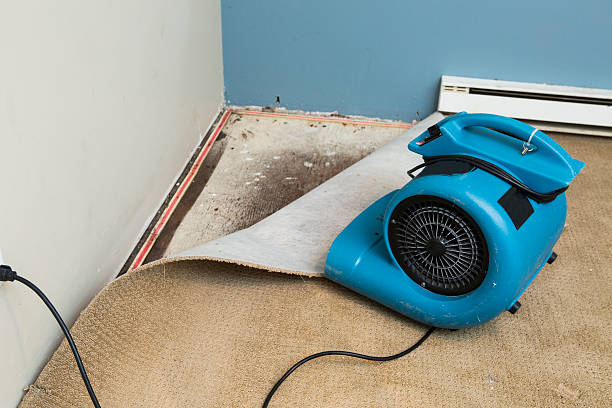 Best 24-hour water damage restoration  in Inverness Highlands South, FL